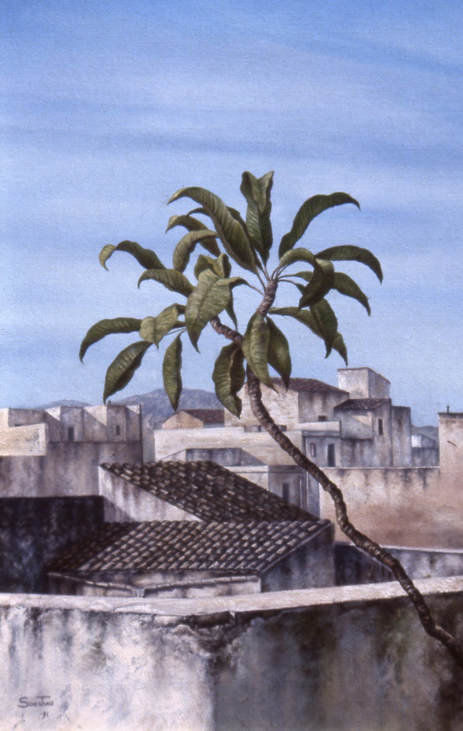 paesaggi sciortino paesaggi